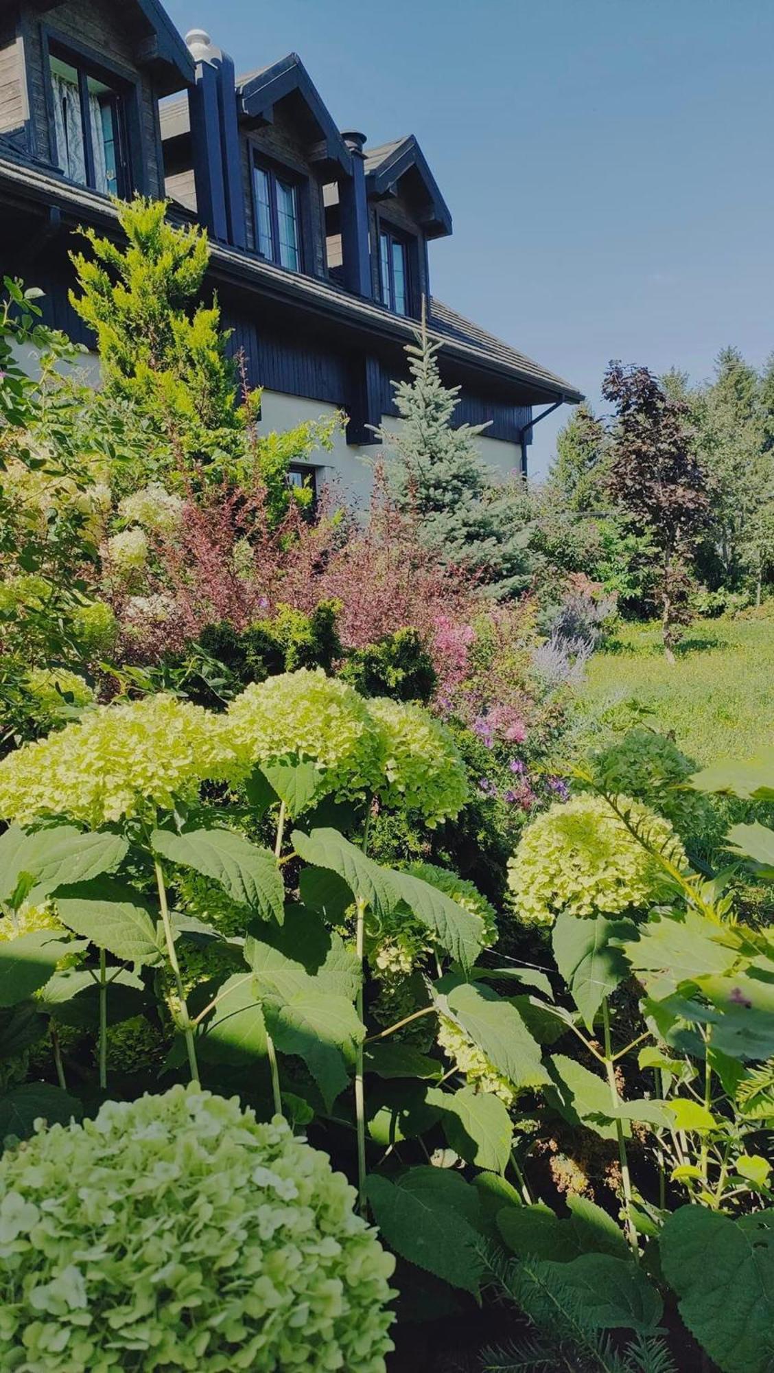 Osrodek Bialy Lew Bed & Breakfast Wojciechow  ภายนอก รูปภาพ