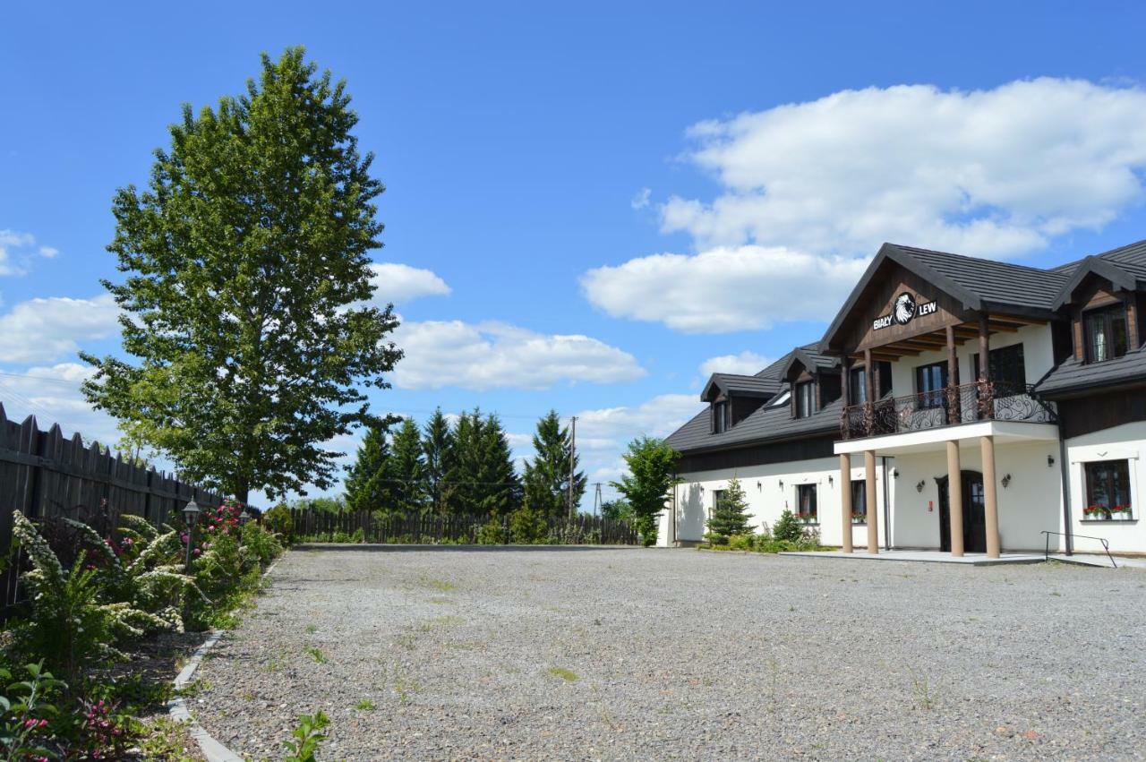 Osrodek Bialy Lew Bed & Breakfast Wojciechow  ภายนอก รูปภาพ