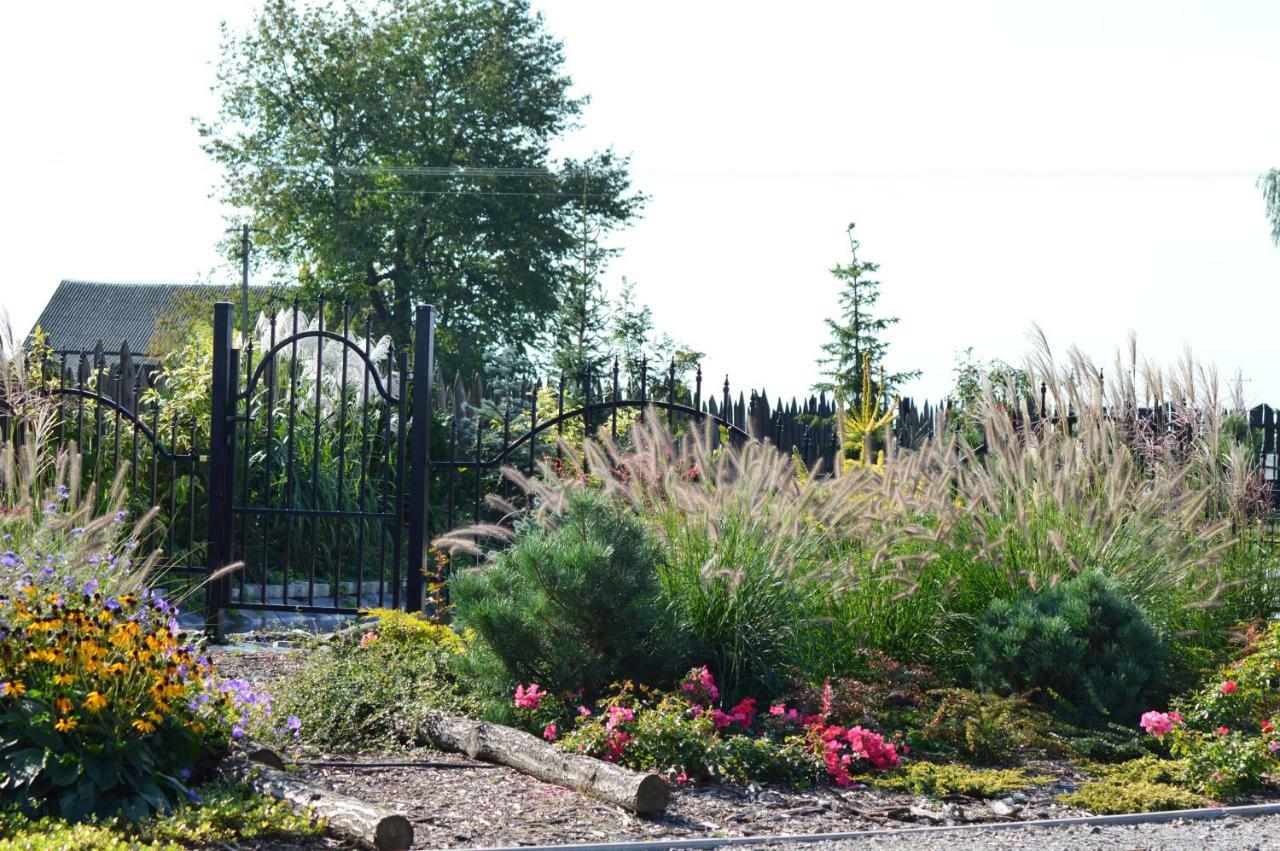Osrodek Bialy Lew Bed & Breakfast Wojciechow  ภายนอก รูปภาพ
